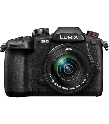 Panasonic Lumix DC-GH5MEG-K - Cámara Digital de 20.3 MP (Live Mos