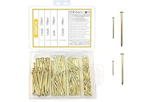 ZWFSDM 450 Pcs Brass Gold Nails and Pins Assortment, Steel Wall Pins Tacks Nails for Woodworking, Panel Pins for Hanging Picture, Frame, Mirror, Masonry, Furniture - 2 inch,1.5 inch, 0.75 inch, 1 inch