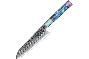 Coltelli da Cucina Damasco Santoku Hajegato Unico Nel Suo Genere Manico Professionale Coltello Giapponese 7 Pollici Coltello Cucina Professionali Vg10 Di Alta Qualità 67 Strati Coltello da Chef