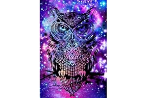 OWN4B Kit per punto croce su tela prestampata, motivo stampato con gufo colorato da 11 ct, 36 x 46 cm, kit da ricamo fai da te (gufo)