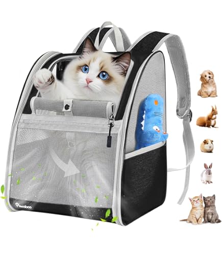 Zaino Per Gatti Cani Zaino Trasparente Per Gatti E Cani Capsula