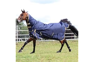 Gallop Trojan 600d Combo Neck 100g Turnout Rug 5'6" (EU 115cm)