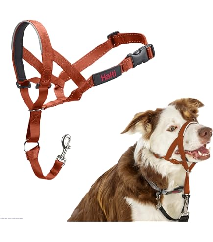 HALTI Headcollar - Stop Your Dog Pulling On The Lead. Adjustable, Reflective And Lightweight, With Padded Nose Band. Dog Training Anti-Pull Collar For Medium Dogs (Size 3, Deep Walnut