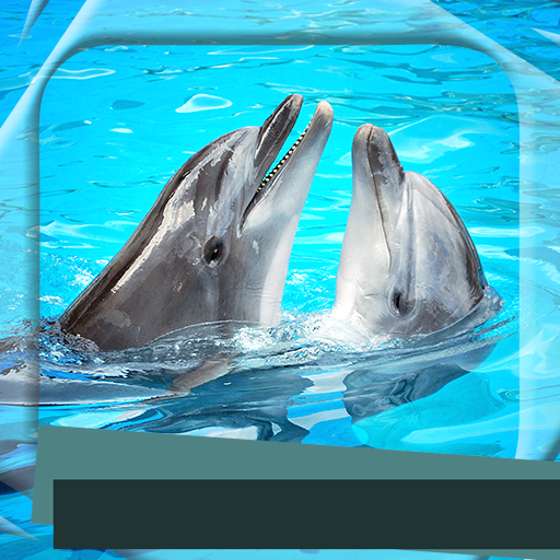 Cornici Per Foto Delfini Amazon It Appstore Per Android