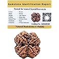 Crystal Heaven 4 Mukhi Rudraksha Original Certified Bead - Natural Nepali 4 Mukhi Rudraks For Meditation And Prayer, Chakra Balancing, Spiritual Growth And Diy Pooja Supplies