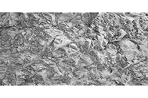 MIRRORANG 120x50cm Fond d'aquarium en Pierre Gris Clair Mur Rocheux Fond de réservoir de Poissons Fond de Terrarium de Roche