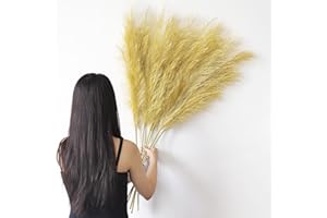 YiYa 6 Pcs Erba di Pampa Decorativa 113cm Decorazione Pampas Secca Grande Fiori Secchi Decorativi per Vaso per Soggiorno, Casa, Pavimento, Vaso, Decorazione Boemia(Oro)