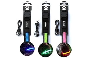 ILLUMINATED APPAREL Obroża dla psa z możliwością wielokrotnego ładowania LED Light Up (różowa, S/M (31-41 cm)