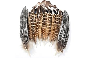 MWOOT 40 Piezas Plumas Naturales, 4 Estilos Plumas de Cola de Faisán Plumas de Pato para DIY Manualidades, Plumas Decorativas para Mascarada de Carnaval Boda Fiesta