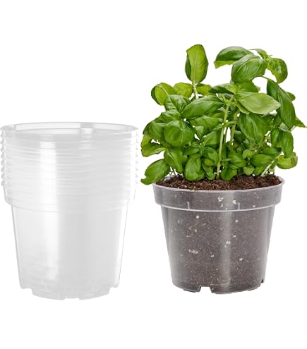 Geli, set di 10 vasi, adatti per orchidee, diametro di 15 cm, capacità 1,7 l, di colore trasparente