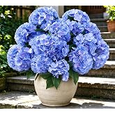 Laelfe 3 Piezas Grande Hortensias Artificiales para Exterior, Azul | 45 cm Tallo Largo Ramos de Hortensias de Seda para Jard&iacute;