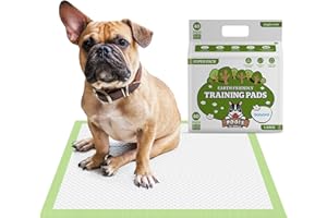 POGI'S PET SUPPLIES Pogi's Training Pads - Toallitas de Entrenamiento para Perros (40 Unidades) (60x60cm) — Grandes, Súper Absorbentes, Almohadillas de Entrenamiento Ecológicas para Perros Pequeños a Medianos