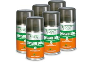 Copyr Kenyasafe Extra - Insetticida Antizanzare, Mosche e Insetti Volanti, 6 Bombole 250ml, Piretro Insetticida Biologico Repellente Zanzare Professionale Casa, Ho.Re.Ca., Settore Pubblico e Sanitario