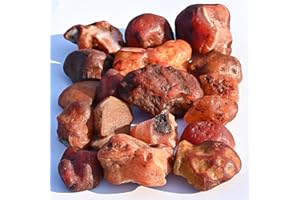 Crocon 1LB Corniola Ruvida Bulk Pietra Naturale Pietra preziosa Grezza Tumbling Cabbing Lucidatura Gemma Mining Chakra Bilanciamento Reiki e Guarigione con Cristalli Buona Fortuna Home Office Decor