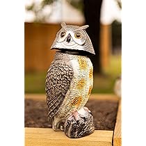 Owl Decoy To Scare Birds Away For Gardens,Pigeon Seagull Crow Scarecrow Statue Pest Deterrent Control Ornament For Outdoor With Rotating Head