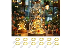 HELESIN Łańcuch świetlny, 10 sztuk, na baterie, 2,2 m, 20 LED, drut miedziany, dekoracje świetlne do samodzielnego wykonania, na imprezę, patio, do dekoracji, sypialni, na Boże Narodzenie, Halloween, ślub,