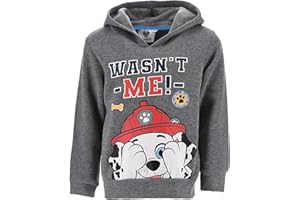 NICKELODEON Paw Patrol Niños Sudadera (Gris,3 años)