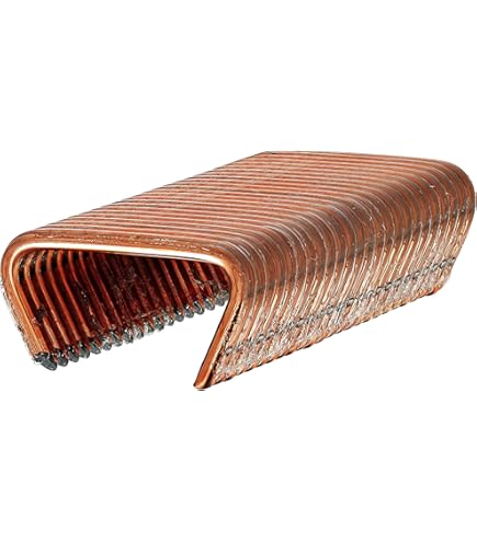 Pince à Anneau De Porc, Tête Courbée, Outil De Réparation D