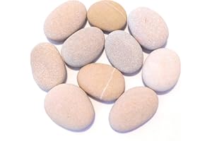 RAINBEAM GUSEMORENO Piedras para Pintar Naturales de Playa Decoración Planas ovaladas. Manualidad Jardín Mandala Acuario (10 Piedras Medianas (6 a 8 cms.))