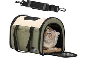 Petsfit Trasportino per gatti, con tappetino e tasca, trasportino aereo pieghevole per animali domestici (S: 41.5 cm x 25 cm x 28.5 cm, verde)