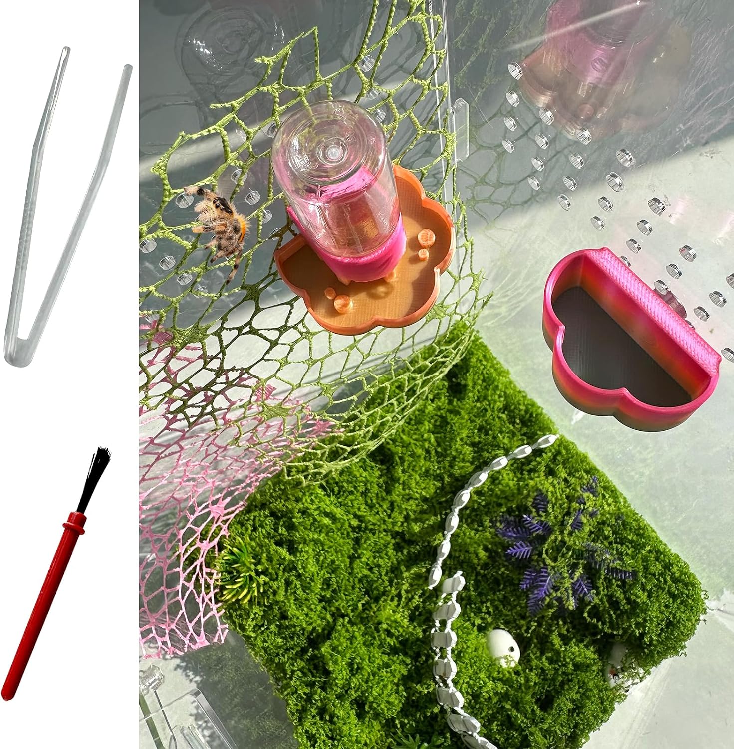 Heyshapeing Jumping Spider Kits - Magnetic Hanging Water Dispenser & Feeder Dish with Cleaning Brush & Tweezers, 8ml, Ideal for Jumping Spiders, Arboreal Pets & Small Animals (colorful)