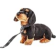 Uni-Toys - Dachshund (with lead) - 27 cm (length) - plush dog, pet - plush toy, cuddly toy
