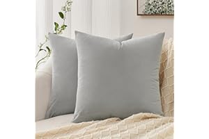 Topfinel Fundas Cojines 45x45 - Terciopelo Funda Cojines para Cama,Sofa. Tacto Suave Funda Cojin Sofa Gris Claro para La Decoración del Hogar, 2 Piezas.