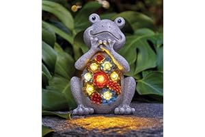 ‎YEOMOO Yeomoo Frog Garden Figures with Solar Lamps, Garden Decoration for Outdoors: Funny Research Decoration with Succulent Solar Fairy Lights, Gifts for Women, Mum, Men, Birthday Gift, Garden, Balcony