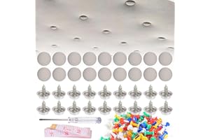 AUIRSHIKY Kit de reparación de techo de automóvil de 80 piezas, fijación de techo de automóvil, herramientas de reparación de techo interior de automóvil, adecuado para todos los automóviles