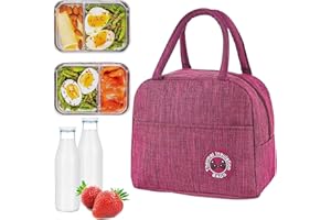 TZQFROCE 6L Kühltasche Klein Mini klein Isoliertasche Lunchtasche Kleine Thermotasche Mini Lunchtasche Wasserdicht für Büro Reisen Picknick Wandern Grillen - Rose