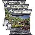 Iagrifarm Elephant Grass Seed - 3 Kg/Pennisetum purpureum/Napier grass seed/Multicut Grass Seed/for Goat,Cow,Livestock and Cattle