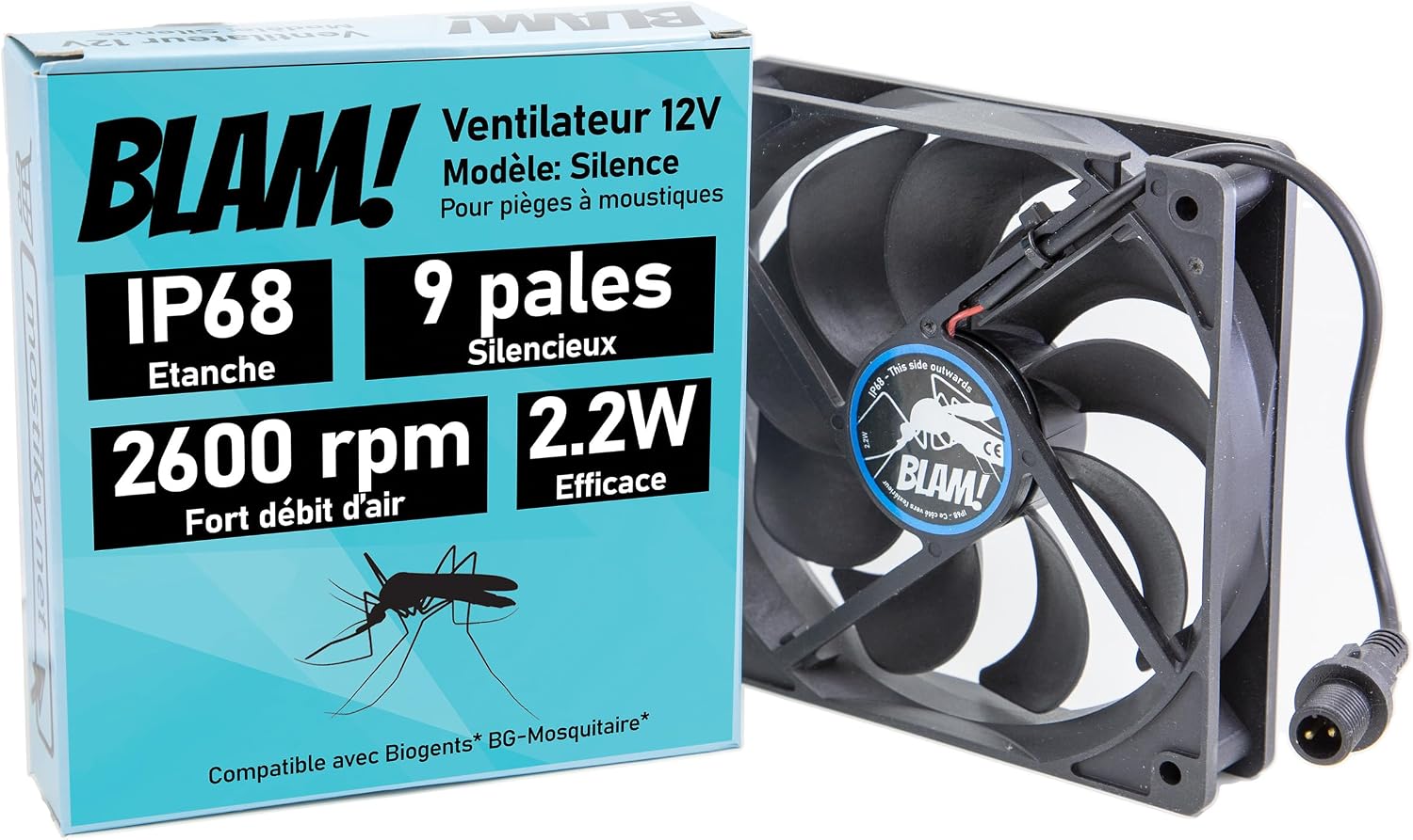 Vue 10