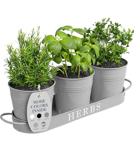 CKB LTD Set di 3 vasi per erbe aromatiche in metallo | FindTheDeal