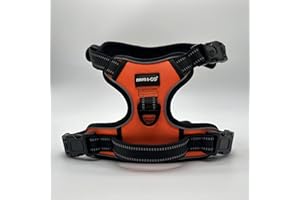 Paws & Go® Reflective No Pull Dog Harness for Nervous Pets - Step In Design for Small, Medium, and Large - Anti Escape, Puppy Proof - Adjustable, Heavy Duty, Breathable Vest