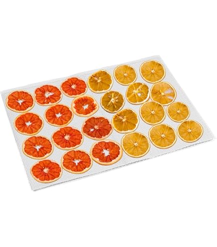 Déshydrateur Klarstein Fruit Jerky Plus 6 ou 9 plateaux