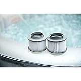 MSpa Filter Cartridge Twin Pack B0301964