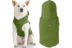 GOOBY Every Day Gilet Polaire pour Chien par Temps Froid avec Capuche pour Petits Chiens, Taille XS, Vert