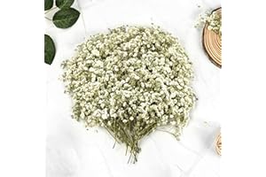 HOSSOM 145 Stück Trockenblumen, Natürliche Getrocknete Blumen, Gepresste Blumen, Schleierkraut Getrocknet für Epoxidharz, Scrapbook, Nagelkunst, Fotorahmen, Handwerk Karten Machen