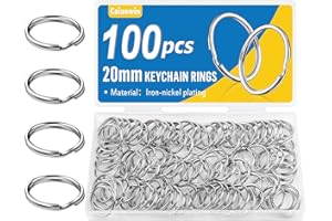 100 Stück Schlüsselringe 20mm, Caianwin Schlüsselring Metall Rund Schlüsselanhänger Ring für Schlüssel,Schlüsselanhänger Zubehör,Basteln,Ornamente und DIY