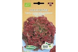 Germisem Orgánica Lollo Rossa Semillas de Ensalada de Jardín 2 g (ECBIO6013)