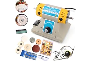 WMLBK Machine de polissage de bijoux 350 W - Pierre tampon de pierre précieuse - Tour et meuleuse à bijoux - Meuleuse à pierre - Kits d'outils de polisseuse