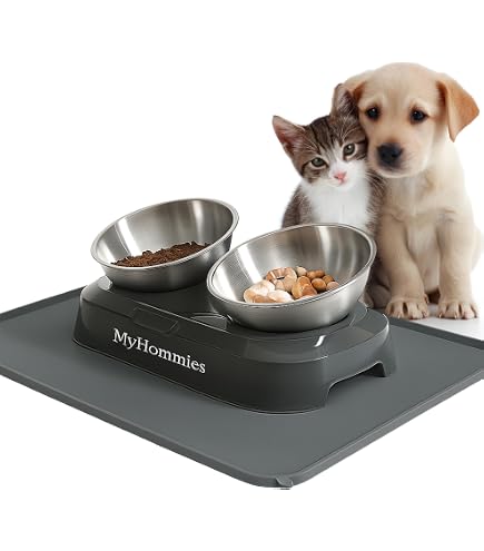 Ciotola Personalizzata Per Cani E Gatti – 2 Ciotole In Acciaio Inox Da 350 Ml, Antiscivolo E Rialzata, Con Incisione Nome Su Richiesta