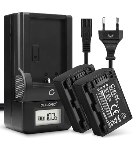 Batteria Sony NP-FH100 Sostitutiva 3600mAh 7.4V Ioni Di Litio, 2 Pezzi, Compatibile Con Videocamere Sony Serie DCR E DVD