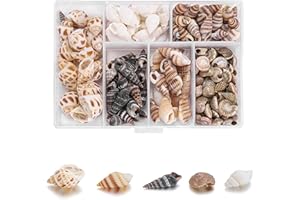 MQWDGJ Muszle, 100 sztuk, 1-3 cm, muszle dekoracyjne, muszle do majsterkowania, mieszane muszle, naturalne muszle, dekoracja do bransoletki, wazonu, wypełniacze, ryby, zbiorniki, rękodzieło