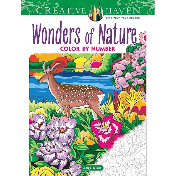 Creative Haven Birds Color By Number Coloring Book By Dover Creative