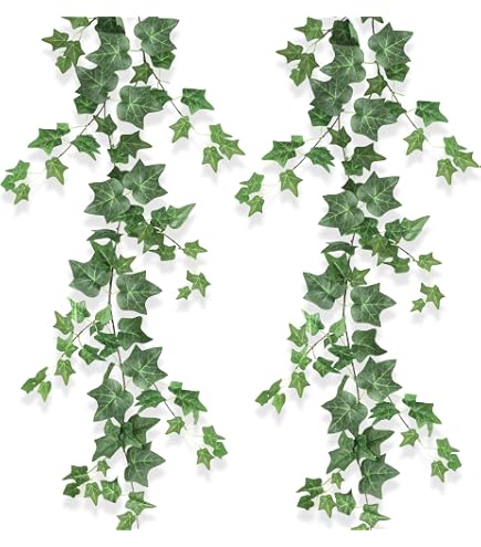 Rayher Efeu-Girlande, Rolle 3 m, knstliche Mini-Efeugirlande aus biegsamem  Draht, kleine filigrane Bltter, fr Dekorationen, Hochzeit, Kommunion,  5109211 : Amazon.de: Spielzeug