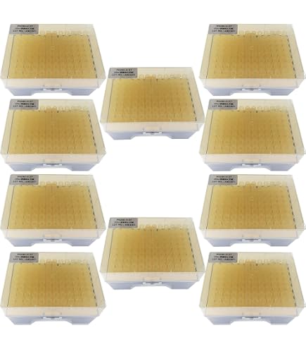 Attrezzatura Scientifica 1000 Puntali Per Pipette Da 200ul - Universali, In Polipropilene, Per Laboratorio - Alta Precisione E Compatibilità Puntali Micropipette 200ul - 5