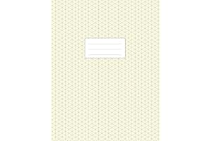 Isometric Grid Notebook - 3D Graph Paper: Large Size 8.5x11 | 110 Pages | Soft Cover Book | For Technical Drawing, Perspective Art, 3D Design