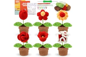 LORDISE Crochet Kit, Crochet Starter Kit, Knitting Kit for Beginners, 6PCS Potted Flowers with Crochet Hooks, Accessories Kit Starter with Step-by-Step Instructions for Beginners