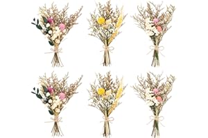 MINISOISO 6 Paquetes Flores Secas Naturales, Mini Ramo de Flores Secas, Flore Secas Decoracion Pequeño, Flores Seca para Manualidades, Decoración del Hogar y Bodas
